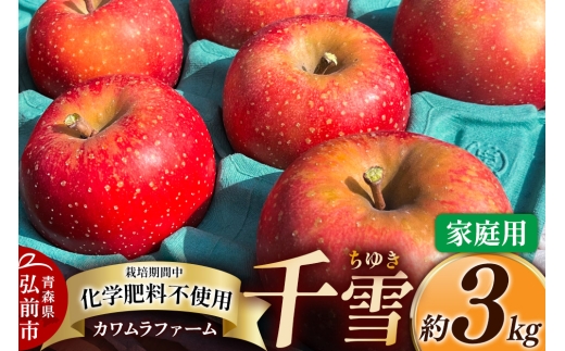 yXOOsz   3kg Jt@[ ƒp X ʕ t[c ь S 