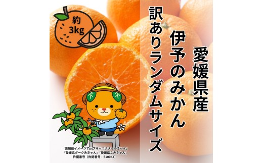 yQɗ\sz󂠂 ɗ\݂̂ 3kg TCY~bNX _ y2025N11{珇\z ݂ QY ʌ s\ k ɗ\sbB505