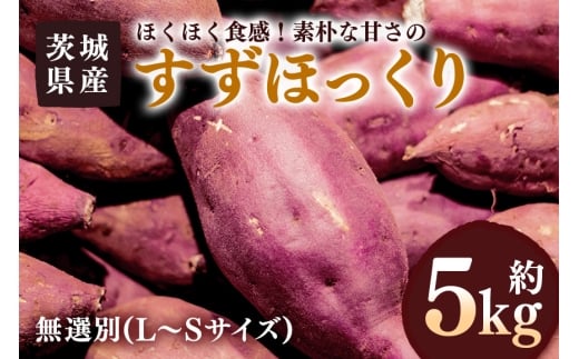 y錧sz܂ ق 5kg I(L`STCY) 錧Y zNzN H Ă VՂ w Ƃ G R̊Â XC[c  Tc}C 錧 s (A52-0