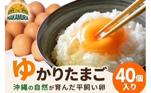 yꌧszgvb!̑厩R񂾕y䂩肽܂z 40 ܂ i20 ×2 jjۏ؂5܂ MSTCY   ^}S Yn  { Z ʎq 