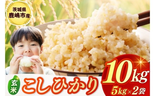 y錧szߘa7NYā  RVqJ  10kg (5kg×2) sYyЂ  R ͂ CX uh 錧 sz(KBR-23)