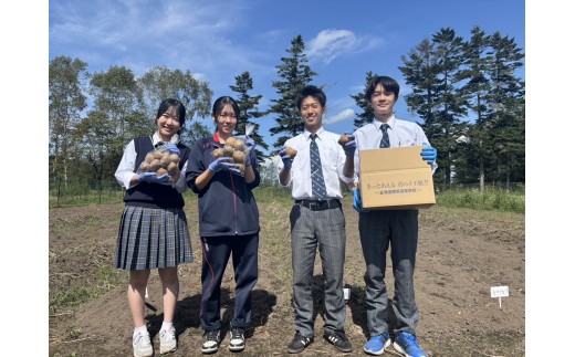 ykCWzWZ爤߂Ė\؂̂Ⴊ͂܂WKC3ށ@v5kgiƂAA[NC[jy  Ⴊ Ƃ 