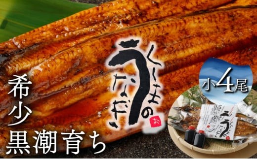 y{茧ԎszKU469-4s ܂̍ȂďSiv560gOjycXz