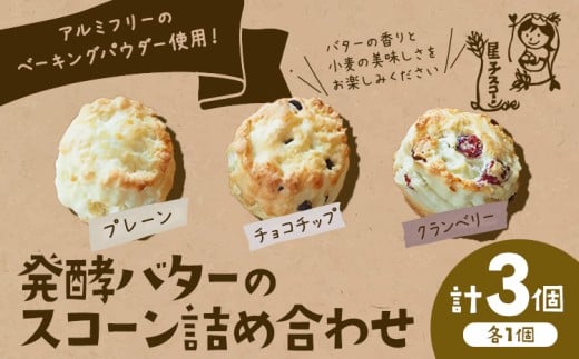 ytRszqXR[ s񂪂ł XR[ lߍ킹 3 3 v[ `R`bv Nx[ s30ȓɏoח\(yj)t qXR[ t Rs  