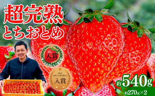 yȖ،ΖؒzystF1{ȍ~z uΖ؊nv@y_̒̂ ƂƂ M[TCY 270g×2pbN v 540g |  C`S   ƂƂ