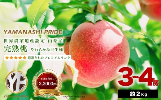 yRRsz2026Nxs\ 2kg n  Ƃ낯Â YAMANASHI PRIDE (5`8)y1222000z