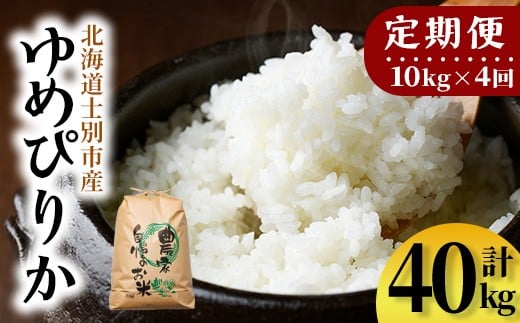 ykCmʎszyF7196zsցES4tmʐ ߂҂肩 (10kg×4Ev40kg)     kC ͂ ߂҂肩 kCY mʎY 10kg 40kg  yT&Mz