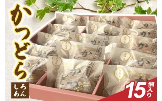 y錧闢zǂ15yz (AF097)