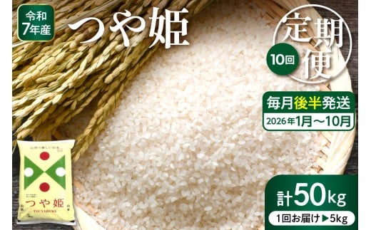 yR`szy2026N1X^[gz ʍ͔|ĂP5kg×10( 㔼)ցy[Xzhi053-033