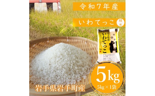 y茧蒬zystzߘa7NY蒬YĂ 5kg   ͂ VN S Â    _ƒ   蒬 茧 Mӂ`