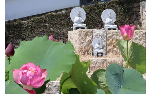 yޗǌܞszi㋟{ (l) | i㋟{ | { 悶܂ T[rX s  ޗǌ ܞs