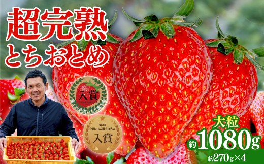 yȖ،ΖؒzystF1{ȍ~z uΖ؊nv@y_̒̂ ƂƂ 嗱 270g×4 v 1080g |  C`S  ƂƂ n ʕ t[c