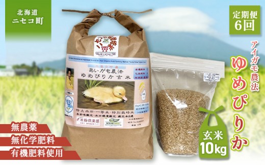 ykCjZRzsʌtIߘa7NYāty6ցz_@߂҂肩 yāzyL@엿/_Ew엿~pz ߘa7Nxā@10kg(1kg×10)@cӒāEĐH