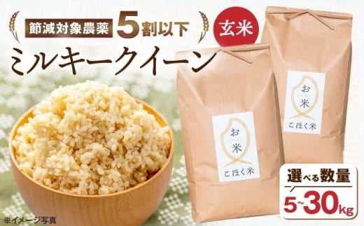 yꌧlszyߘa7NYVāzΖkY ~L[NC[ 10kg () ls/ЃG[XY[AQAK011]    ͂ Sn ߍ] ꌧY lsY     