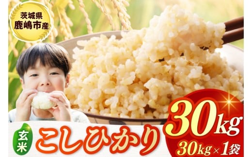 y錧szߘa7NYā  RVqJ  30kg sYyЂ  R ͂ CX uh 錧 sz(KBR-25)