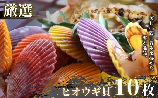 ymzyԁEʌIzÂ݂ŃW[V[ȃCghqIEML10Zbg qIEML BBQ AEghA Lv C̍K z^e ЂL ق VN 