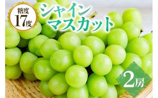 y錧Ήszy 2026N s\ z VC}XJbg 2[ x 17xȏ vƂԂǂ  1.4kg ` 1.5kg Ԃǂ uhE L@ 엿 nEX ͔| ʕ  t[c 9 10  H { i