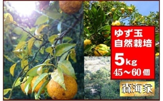 ymmzs\I䂸ʁ@5kgZbg@Ԍ k W[V[ R͔| Y Mq@S165