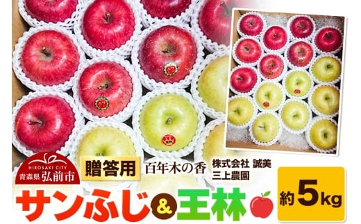 yXOOszy25N12`z p SN؂̍ O_ Tӂ 5kgystz X ʕ t[c ь S  \