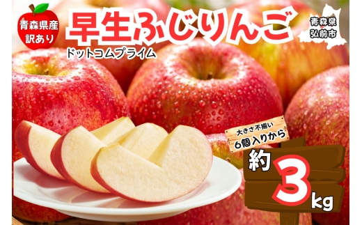 yXOOsz񂲁y󂠂 ƒpzӂ 3kg XY X ʕ t[c ь S 