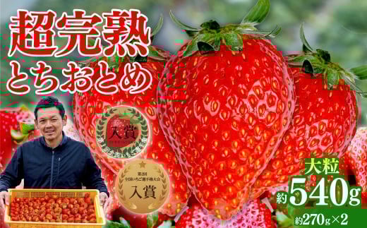 yȖ،ΖؒzystF3ȍ~z uΖ؊nv@y_̒̂ ƂƂ 嗱 270g × 2pbN v 540g |  C`S  ƂƂ n 嗱 ʕ t