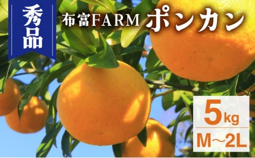 ymmzNT2-7-01s\񁄁ykgIׂzGi|JM`2L@5kg