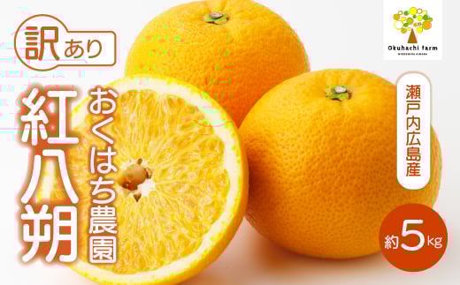 yLOszy͂_zq󂠂rg 5kg s2026N2`3\t͔|Ԓ h bNX sgp { k 񂫂 ͂ t[c ʕ ˓ 166006