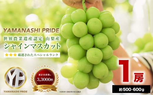 yRRsz2026Nxs\ t[cRYI VC}XJbg 1[(500-600g)y1501766z