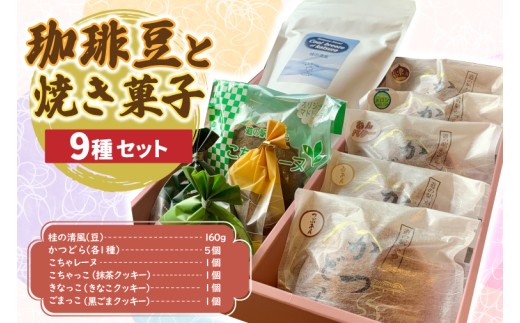 y錧闢z蓤Əĉَq9yj̐z(AF113)