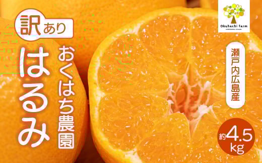 yLOszy͂_zq󂠂r͂ 4.5kg  s2026N2`3\t͔|Ԓ h bNX sgp { k 񂫂 t[c ʕ ˓ 166008