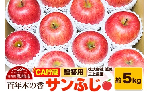 yXOOszy26N4z yCAzp SN؂̍ O_ Tӂ 5kg (14`20ʒx)ystz X ʕ t[c ь S  \