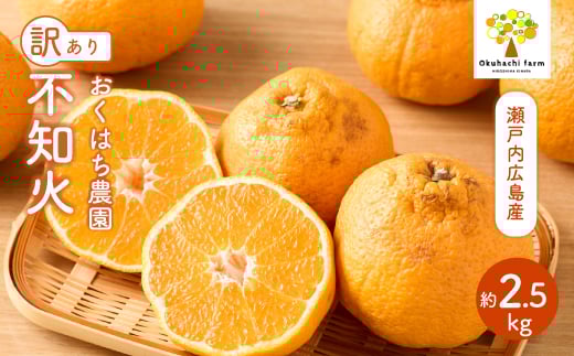 yLOszy͂_zq󂠂rsm iʂj2.5kg  s2026N3`4\t͔|Ԓ h bNX sgp { k 񂫂 fR| t[c ʕ ˓ 166009