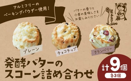 ytRszqXR[ s񂪂ł XR[ lߍ킹 3 9 v[ `R`bv Nx[ s30ȓɏoח\(yj)t qXR[ t Rs  