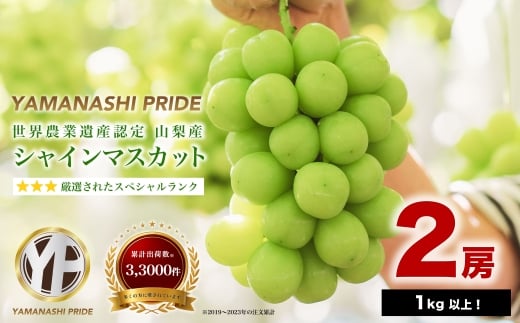 yRRsz2026Nxs\ t[cRYI VC}XJbg   2[ (1kgȏ)y1108669z