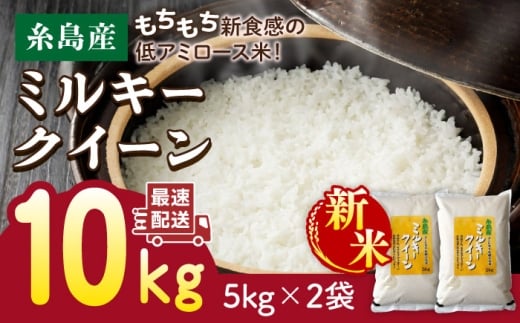 yszy5zyĕ@IׂIzyߘa7NYVāz~L[NC[ 10kgi5kg×2܁j  / āEĐX V@YX [ADE002-3]