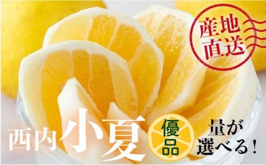 ymmzʂIׂ yDizā@2510kg@N53 N54 N55