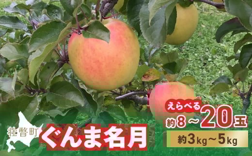 ykCs˒z2025N11{肨͂ kCs˒  uܖv Iׂe 8`20 3kg`5kg y ӂ邳Ɣ[ lC  LO  S ь ܖ