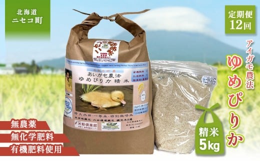 ykCjZRzsʌtIߘa7NYāty12ցz_@߂҂肩 yĎdlāzyL@엿/_Ew엿~pzߘa7Nx 5kg(1kg×5) c