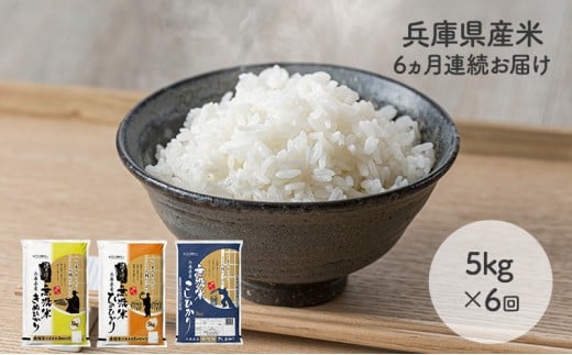 yɌszy6A͂zĐlꉟIɌY5kg×1 Hה   RVqJ qmqJ LkqJ U U