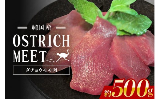 y錧Ήsz_`E  500g _`E Ԑg wV[ ᎉb J[ ς S Lx ^pbN ㎿ Rsgp zsgp Y _CGbg N