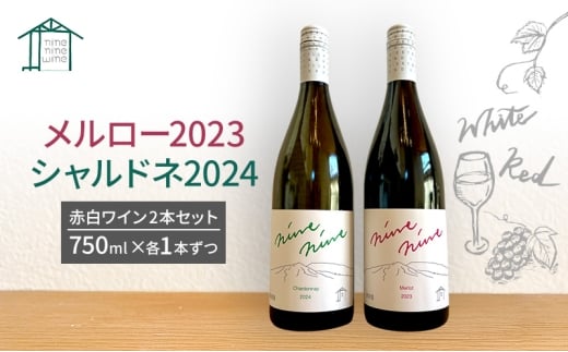 y쌧szԁEC2{Zbg@[2023@Vhl2024@@MB@sC@ԃC@C [5915-1696]