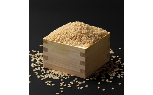 yR`쐼zߘa7NY͔|Ԓ_sgp P 10kgy1683657z