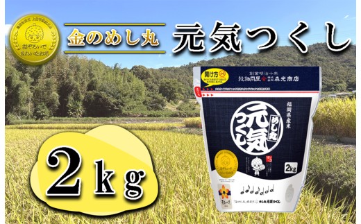 ysszCE-107_ߘaVNā@̂߂یC QKgiP܁j