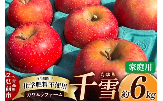 yXOOsz   6kg Jt@[ ƒp X ʕ t[c ь S 