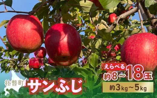 ykCs˒z2025N12{肨͂kCs˒@񂲁@i햼uTӂvIׂe 8`18 3kg`5kg y ӂ邳Ɣ[ lC  LO  S ь T