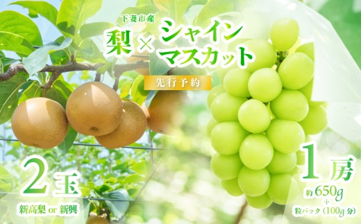 y錧Ȏszy 2026N s\ z VC}XJbg   Hה׃Zbg VC}XJbg 1[ 650{pbN(100gj{ 2ʁiV܂͐Vj y 2026N9{`10{