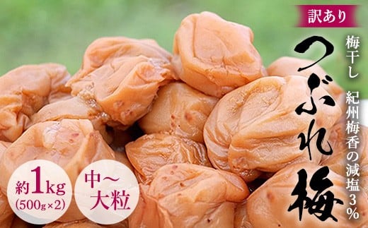 ya̎Rlz󂠂 Y ~ IB~̌3%Ԃ~ 1kg(500g x 2) ~嗱 ͂˂~ IB썂~ Y) 3-G