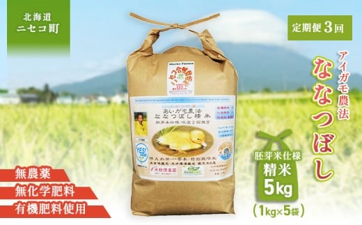 ykCjZRzsʌtIߘa7NYāty3ցz_@ȂȂڂ yĎdlāzyL@엿/_Ew엿~pzߘa7Nx 5kg(1kg×5) c