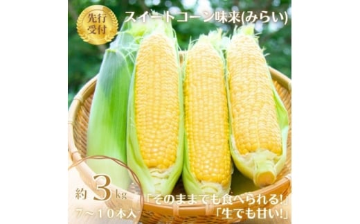 y{錧czst2026NƂ낱(݂炢@3.0kg)@ʌy1451274z