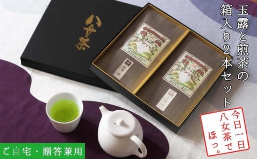 y}Oz{14ڂXX̋ʘIƓ̉ϔQ{lyV܁@n300N]ziMtgΉjy       lC 